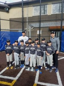 vipersbaseball vipersbaseball