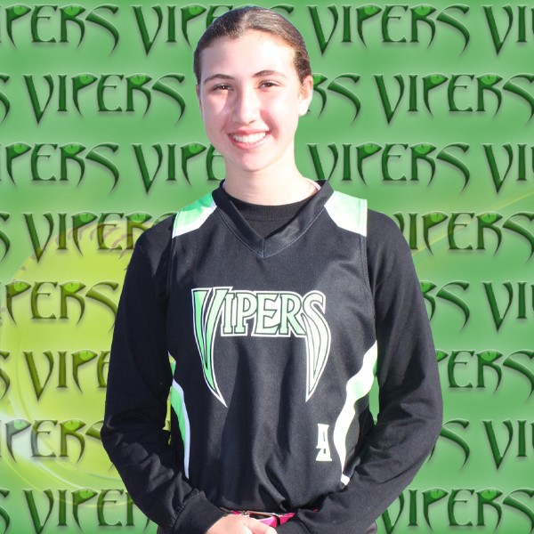 viper background3x3 Afisher(002)